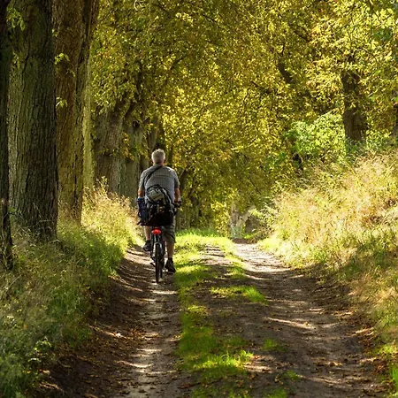 Moewenkieker Mit Terrasse Im 度假居 *